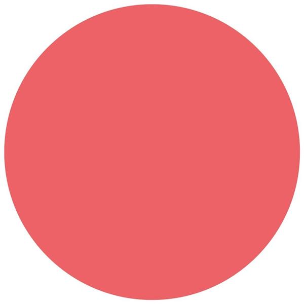 INTENSE MAT 04 ROSS LIQ H 24