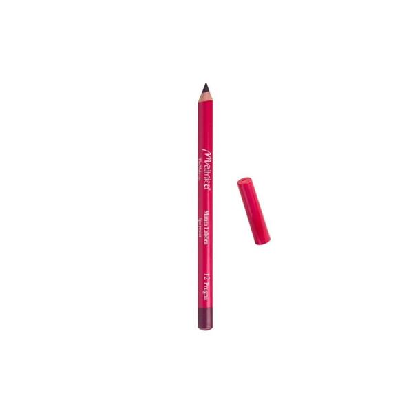 MATITA LABBRA PRUGNA 12