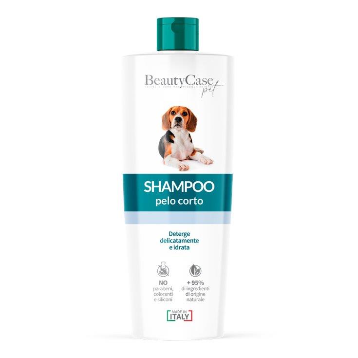 BEAUTYCASE SH 250 ML